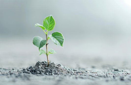Why Grit Is More Important Than Talent:  Lessons from Science and Stoica